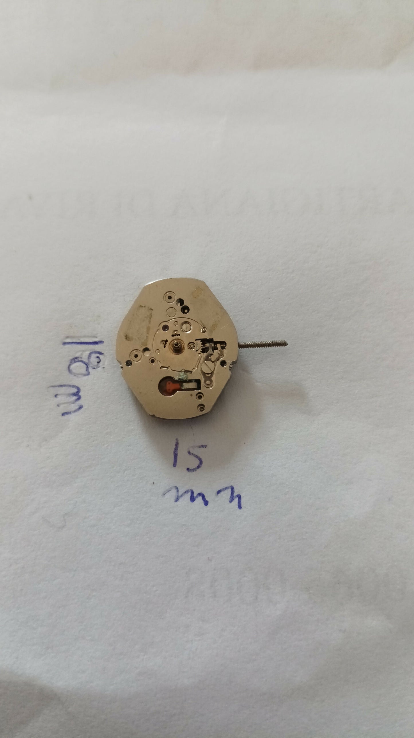 1000121064